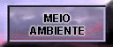 BOTAO14.gif (5799 bytes)